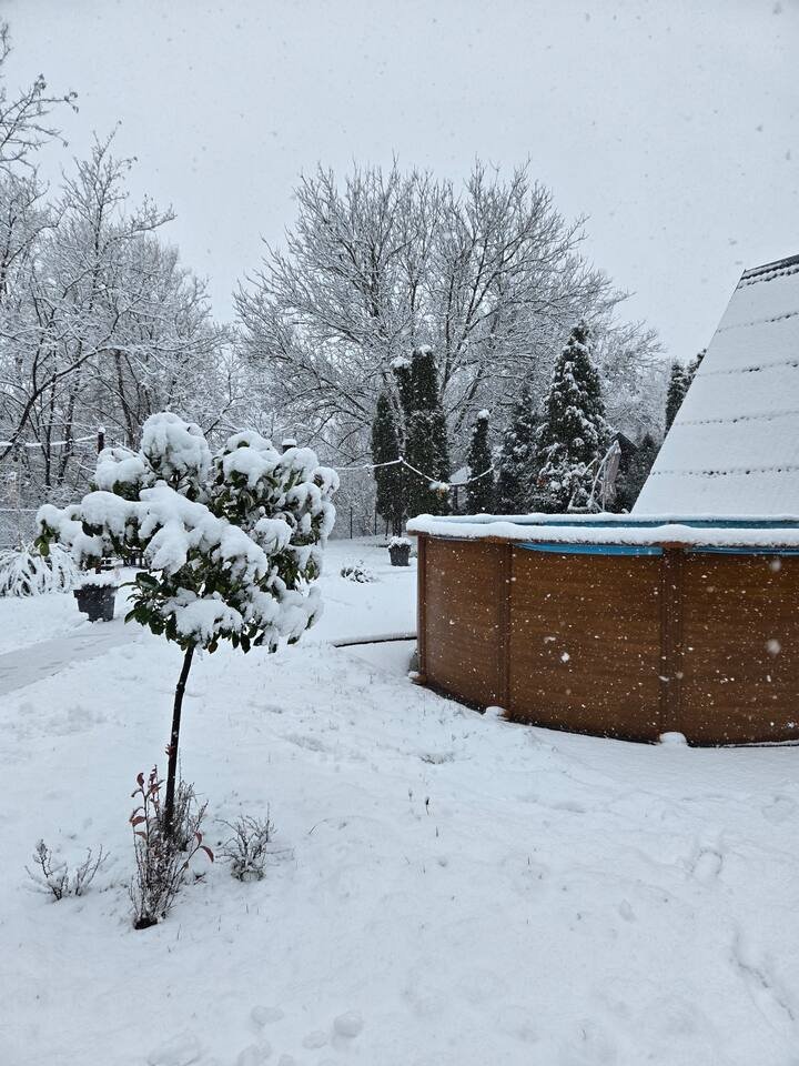 Bedroom with twin bed arrangement and warm wooden walls