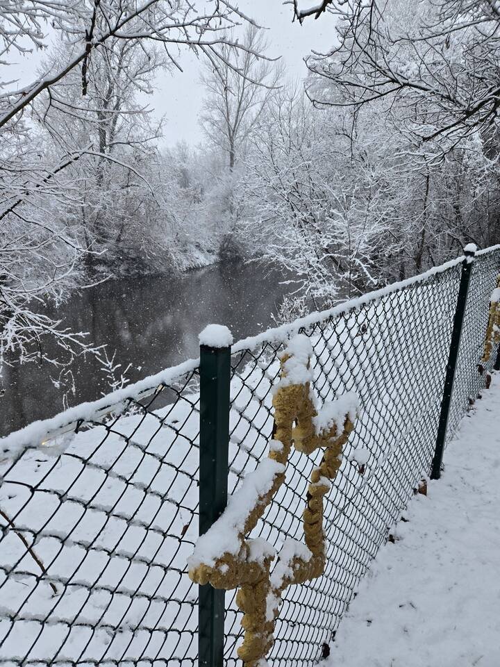 Winter garden scene with snow-covered fence