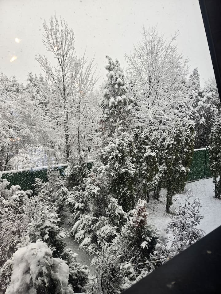 A-frame cabin front view covered in fresh snow