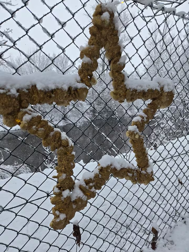 Decorative star ornament covered in snow